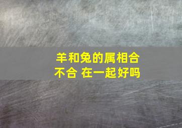 羊和兔的属相合不合 在一起好吗